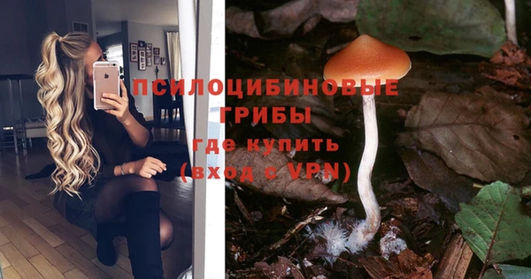 экстази Баксан