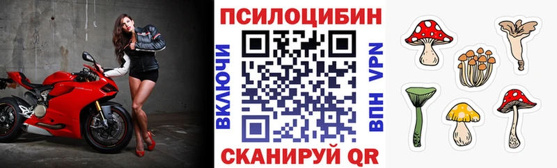 Псилоцибиновые грибы Magic Shrooms  наркошоп  Глазов 